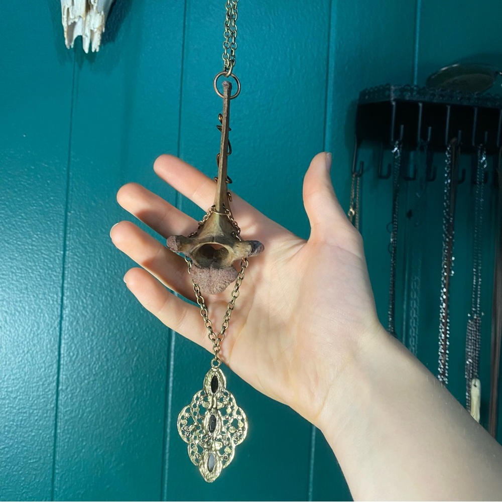 Dyed Deer Vertebrae Bone Copper Wire Brass Chain Necklace - Picture 11 of 12